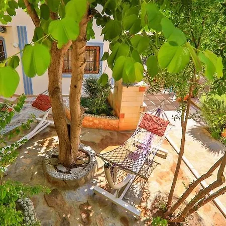 Doreena , Kalkan'da 8 Kisilik Ekonomik - Kalkanvilla קס